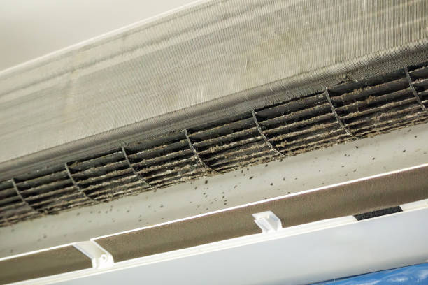 Best HVAC Maintenance and Cleaning  in Blossburg, PA